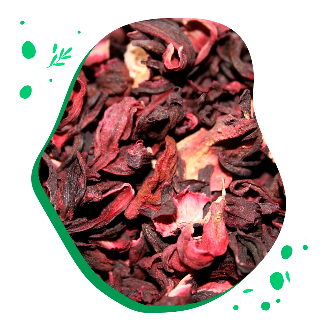 Hibisco