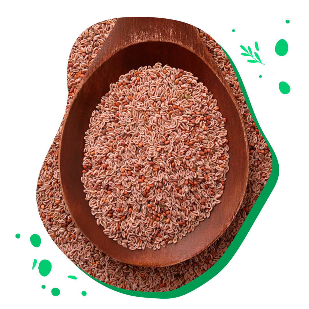 Psyllium